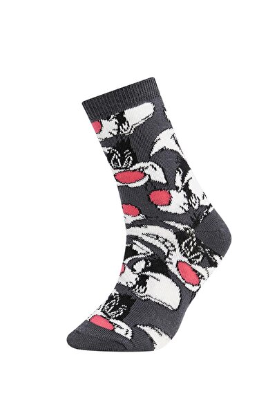 DeFacto Лицензирани дълги чорапи от 2 части за момиче Looney Tunes