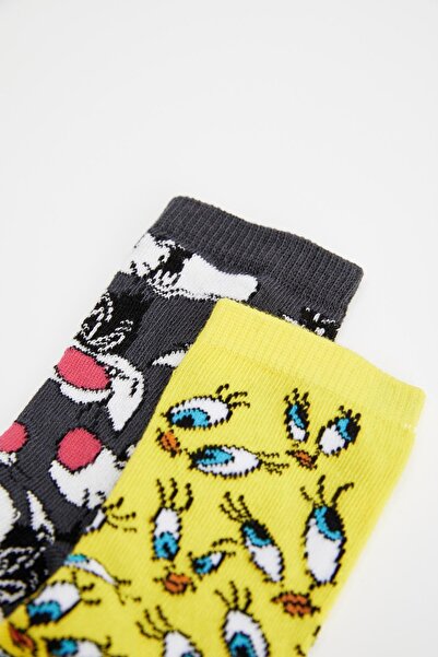 DeFacto Лицензирани дълги чорапи от 2 части за момиче Looney Tunes