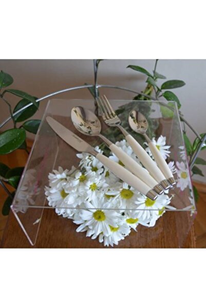 Tupperware Platinum Çatal Bıçak Seti 12 Kişilik Beyaz