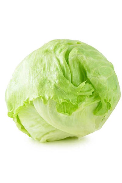 Karahasanoğlu Tarım Yerli Göbek Marul Tohumu - 3 Gr (ort 2250 Ad Tohum)