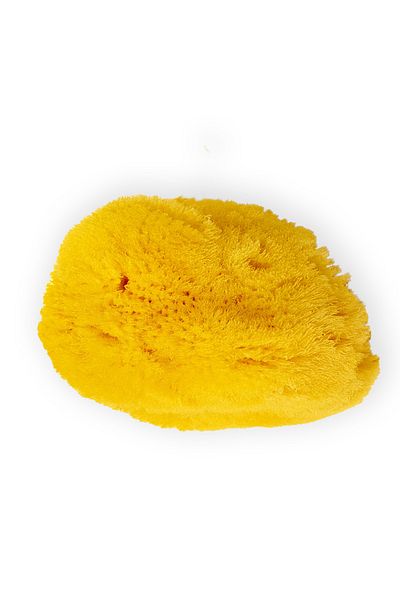 BAZAAR 4 Mediterranean Sea Sponge (Unpraced) 006
