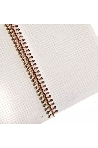 Gıpta Enviro Spiral Kraft Hard Cover Notebook A4 100 Sheets Checkered