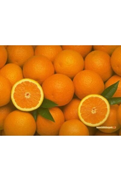 Köyceğiz'den Evinize Gelsin Yerli Organik Portakal 5 Kg Ilaçsız Organik Köyceğiz Portakalı