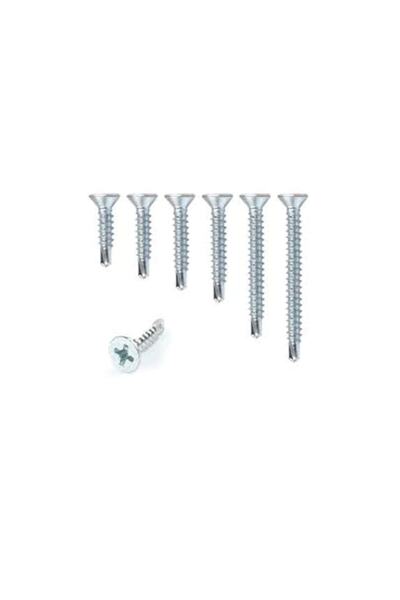 Azimkar Hırdavat Akıllı Vida Çeşitleri 1 Paket (100 AD)-(3.9X25)