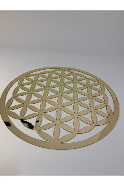 buketiket Yaşam Çiçeği Pleksi Duvar Sticker 1mm