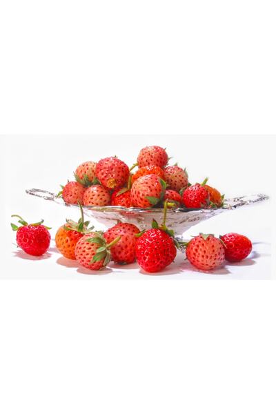 ÇİÇEKLİFE 10 Adet Çilek Fidanı ( Osmanlı ) Tadı Ve Aroması Ile Bilinir Açık K...