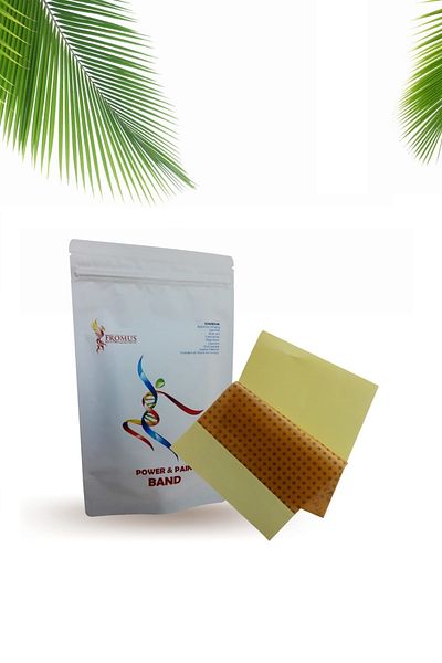 FROMUS الطاقة وفرقة الألم