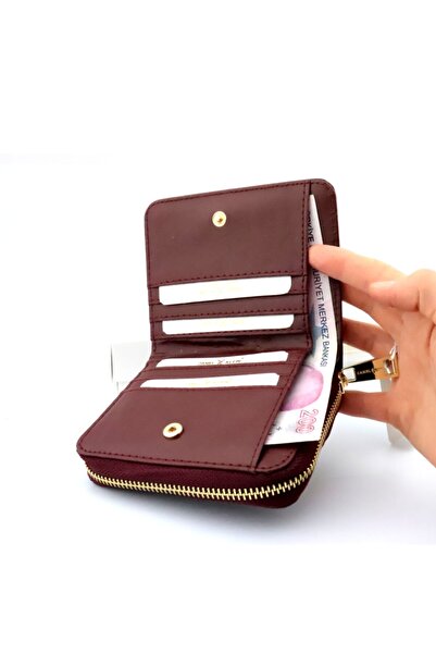 Daniel Klein Kadın Cüzdan Küçük Boy Çok Bölmeli Dkw6001