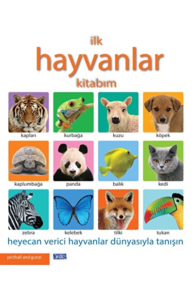 Parıltı Yayınları My First Animal Book of Kids - Pıtchall - Gunzıe