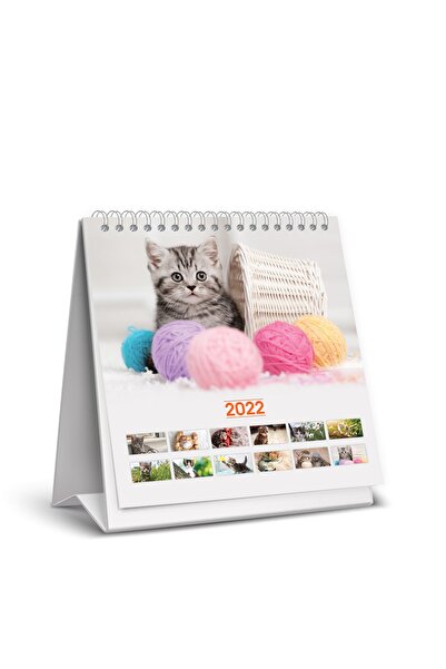 KESKİN COLOR Keskin 15x15 Cm Kare 2022 Üçgen Masa Takvimi (820801) Kediler