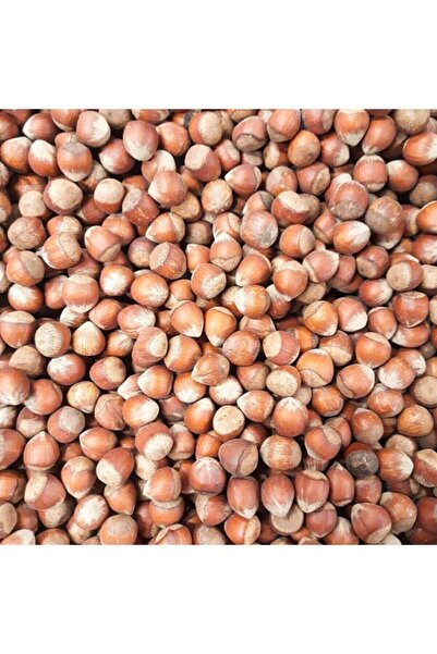 Alaca Giresun Yağlı Kabuklu Fındık 5 Kg