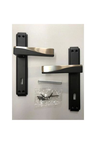 ARON Stainless Luxury Derya Door Handle (Room) Anka Mirrored Matte Black - Matte Satin Aluminum / Steel