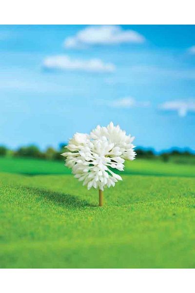 Eshel Rose Bush 4.5 Cm 2 Pieces