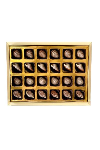 Gondol Çikolata Deniz Kabuğu Spesiyal Çikolata Büyük Boy