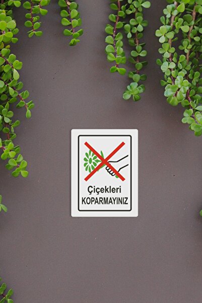 Tekin Ozalit Çiçekleri Koparmayınız 25 X 35