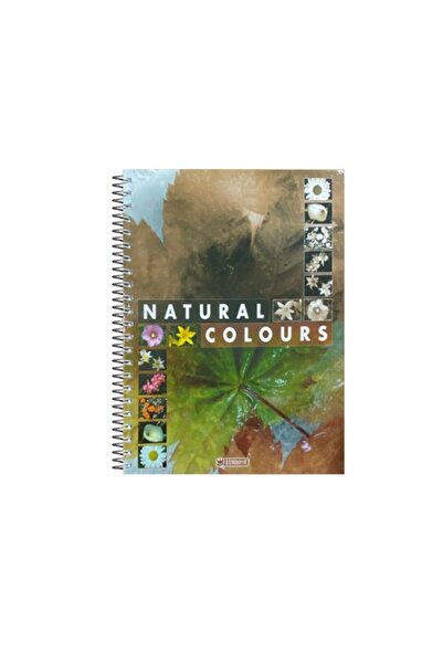 ÖZGÜN دفتر ملاحظات بغطاء صلب حلزوني مقاس A4 مكون من 200 ورقة مخطط بخمسة أقسام ملونة