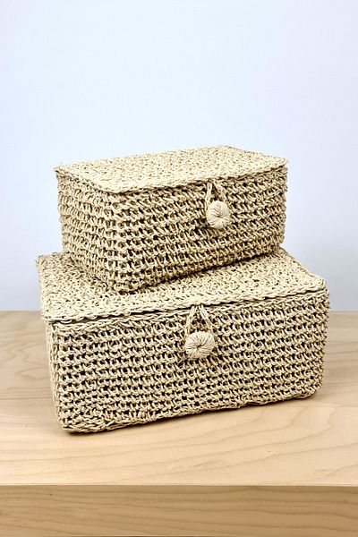 Binbirreyon Braided Basket Box Set with Lid 2 Pieces Lined Organizing Box 25x17x12cm Dd014