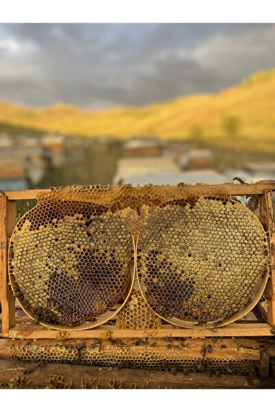 Köyden Gelsin Kara Kovan Balı - 1300 Gram