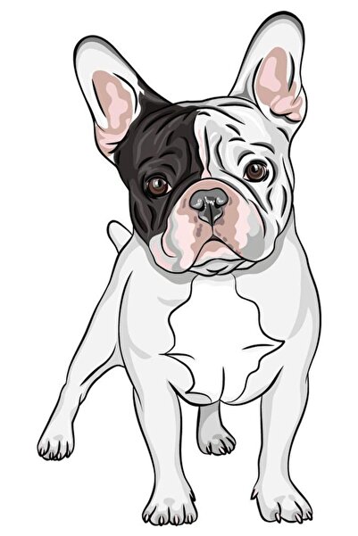 hediyeniburadabul Ξύλινη αφίσα Cool Dog 20x30 - Mdf