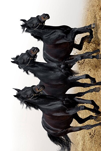 Resmiro At Tasarımlı Dijital Baskılı Halı Mrc1552