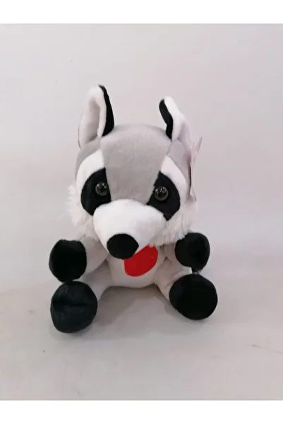 Aksaray Çiçekçilik Plush Raccoon