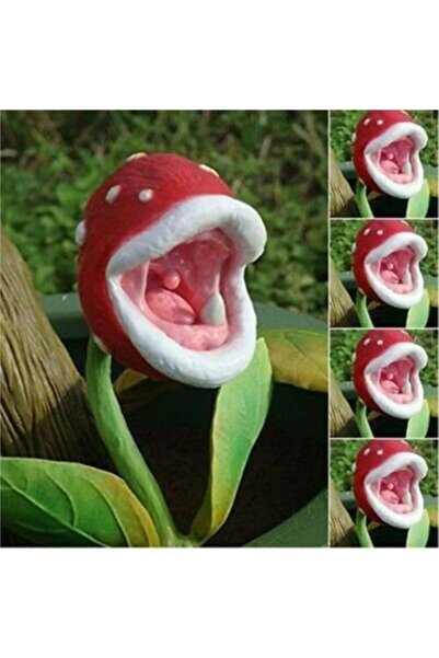 Genel Markalar Dünyam Etçil Etobur Sinek Kapan Bitkisi Tohumu 5 Adet Tohum