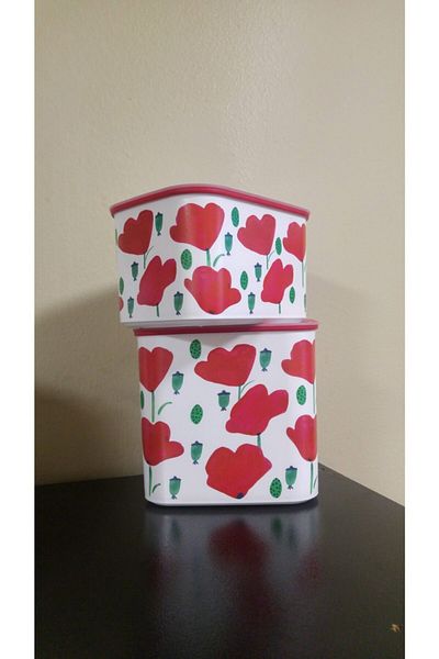 Tupperware 2-Piece Water Poppies Storage Box