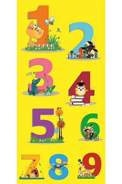 Rose Çok Renkli Sayılar Anaokulu Kapı Giydirme Dekoru, Neşeli ve Eğlenceli Ta...
