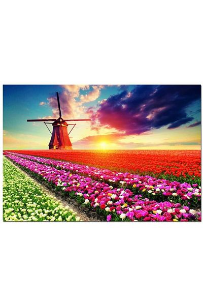 EDUCA Tulips Landscape 1500 Piece Puzzle