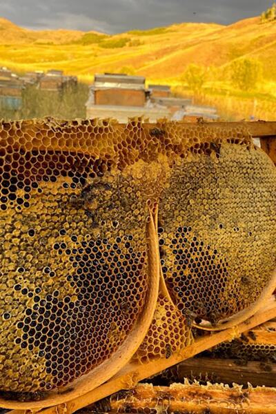 Köyden Gelsin Kara Kovan Balı - 1100 Gram