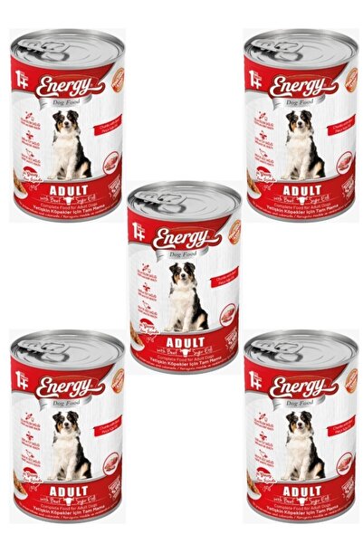 Energy Dog Food Sığır Etli Yetişkin Islak Köpek Maması 5'li – 400 G