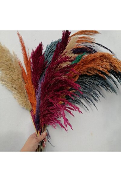 Hidden Botanics Pampas 10 Adet 65 Cm Boy - Karışık Renk