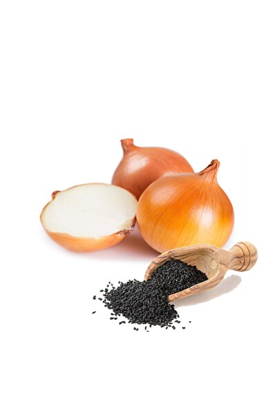 Yerli 1000 Ad. Fulya Soğan Tohumu