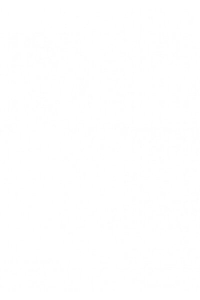 Bestpet Karışık Etli Yetişkin Kedi Maması 1 Kg