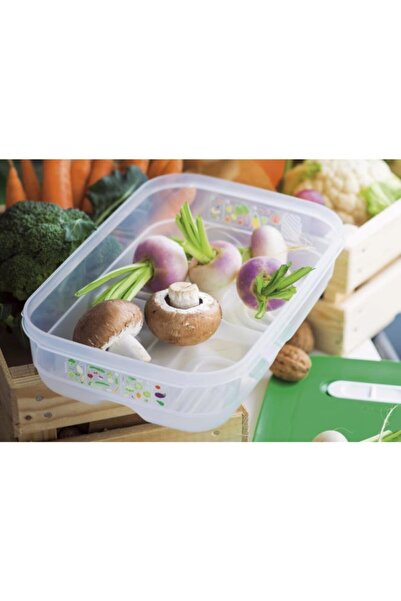 Tupperware Greenhouse Refrigerator Storage Container Set of 3 2 X 1.8 lt Vert...
