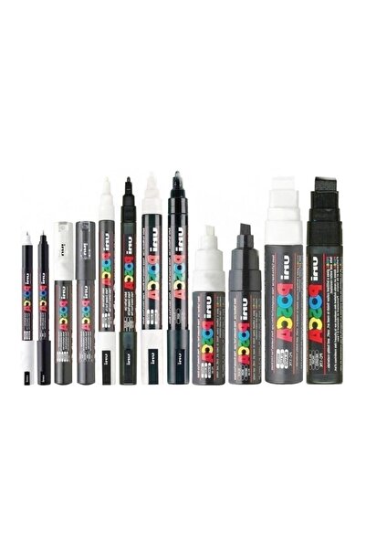 POSCA Uni Master Set Tüm Boylar Ve Tüm Renkler Toplam Fırça Uç Dahil 144 Parça Paket