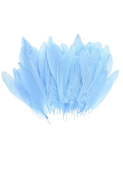 Huzur Party Store 100 Lü Bebek Mavisi Renkli Doğal Tüy Dekoratif Süsleme Hobi...