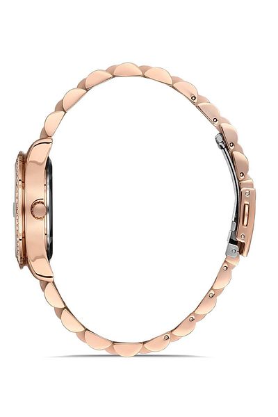 FERRO F21923a-c Women's Wristwatch F21923a