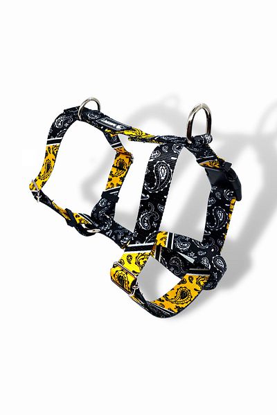 Wikipet Coachella Dog Collar Set Small