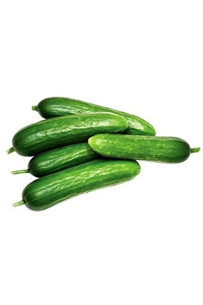 Salatalık 1 Kg