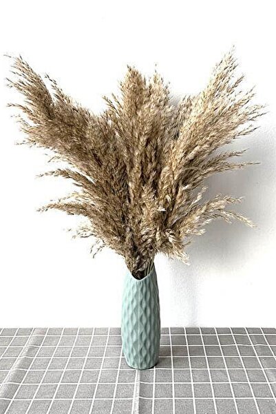 Alyones Doğal Dekoratif 7'li Büyük Demet Dökülmeyen Pampas