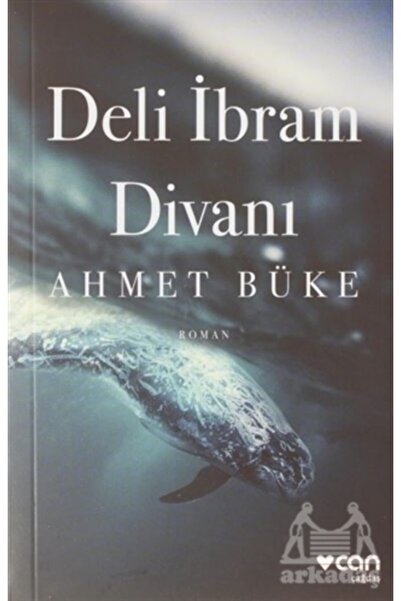 Can Yayınları Deli Ibrahim Divanı