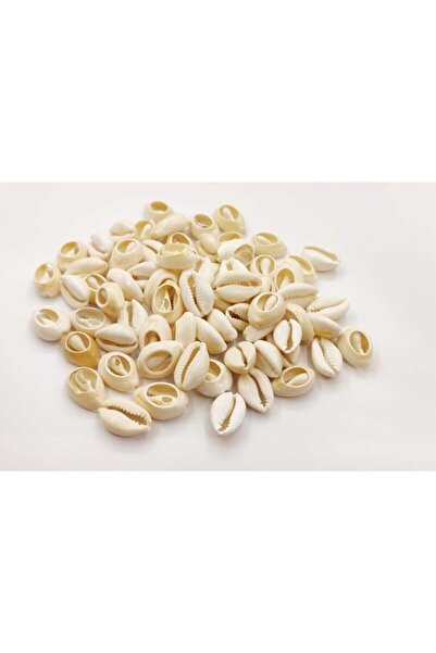 Lade 20 قطعة من مواد مجوهرات الصدف