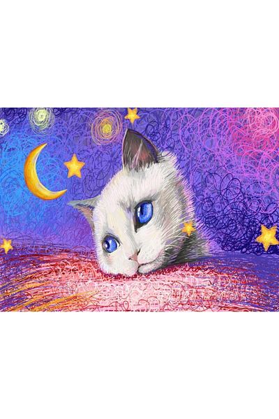 Nova Puzzle Nova 1000 Piece Puzzle - Under the Stars - White Cat