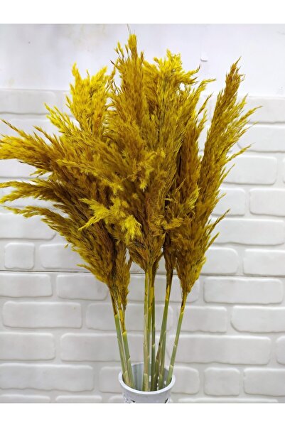 Genel Markalar Hardal Sarısı Pampas Büyük Kafalı 100 Cm 10 Lu (dolgun) Şoklanmış