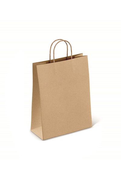 14Süs 20x10x22 Cm Unprinted Kraft Paper Bag Pack of 100