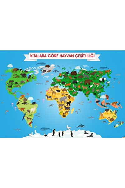 okulcenter Kıtalara Göre Hayvan Çeşitliliği Afişi (vinil) 70x100 Cm