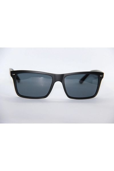 Swing Sw 108 193 Sunglasses