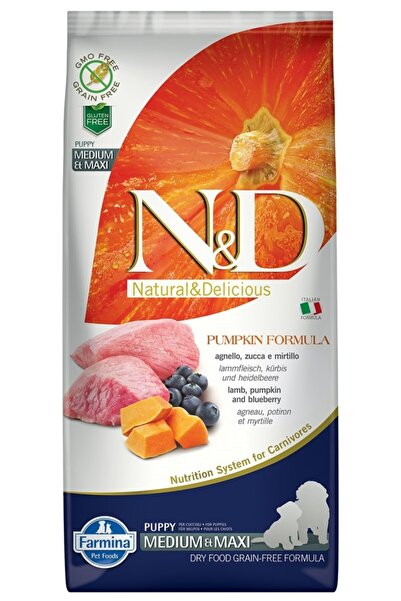 N&D N&amp;d Kuzu Yaban Mersini Bal Kabaklı Puppy Medium Maxi Breed 12 Kg.