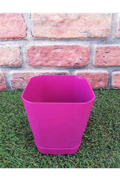 Ekodoğa Safir Saksı 1 Adet 0,8 Lt Vişne Renkli Saksı Kare Saksı Tabaklı Saksı...